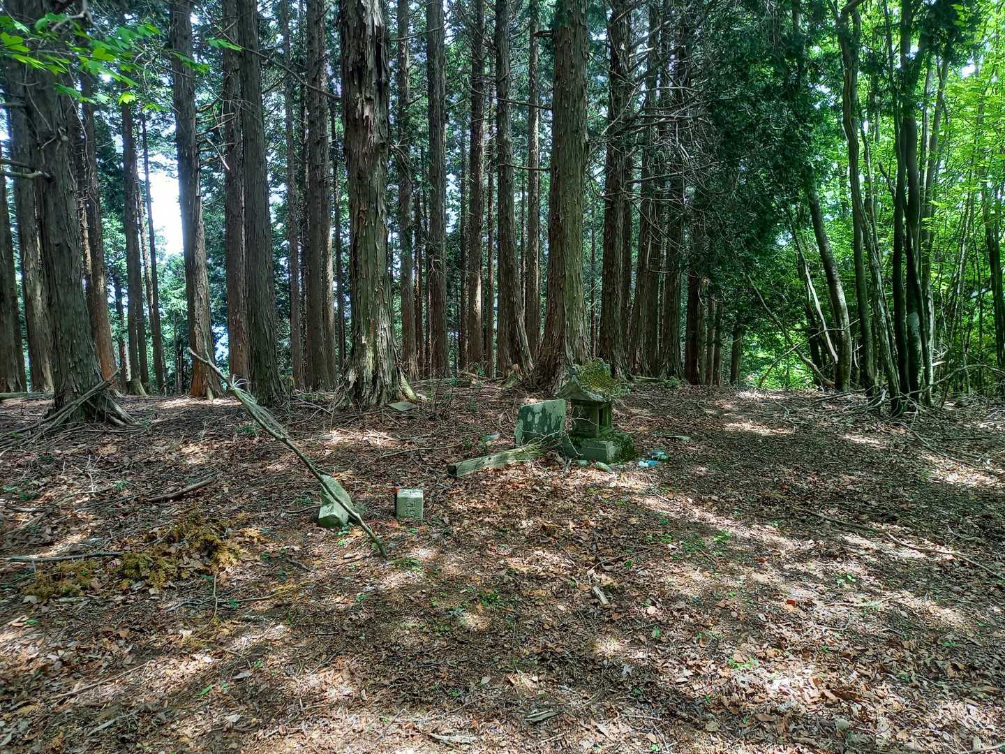 山頂風景