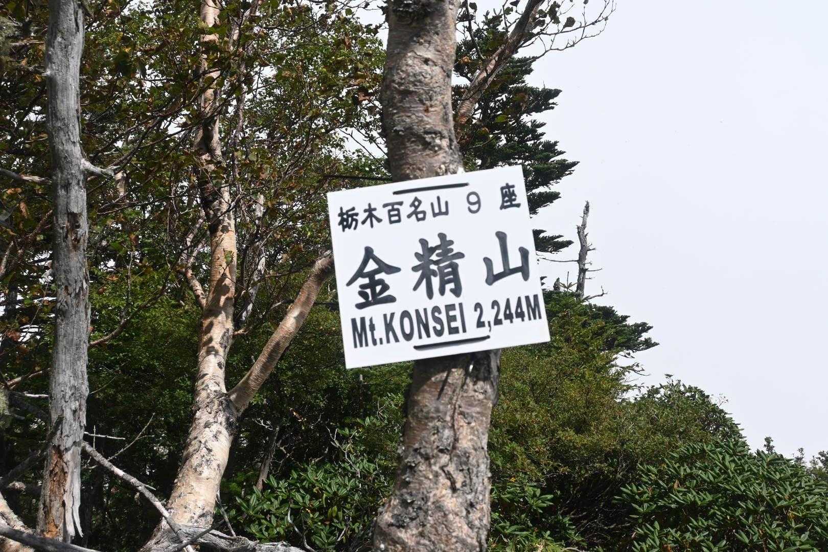 金精峠登山口-金精峠-金精山-温泉ヶ岳 周回コースの写真
