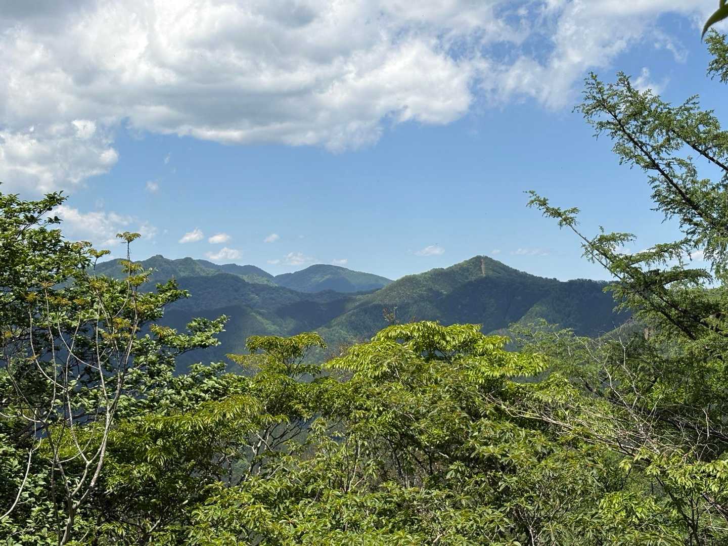 こちらの展望も👍

天目山、大平山、蕎麦粒山だそうです
