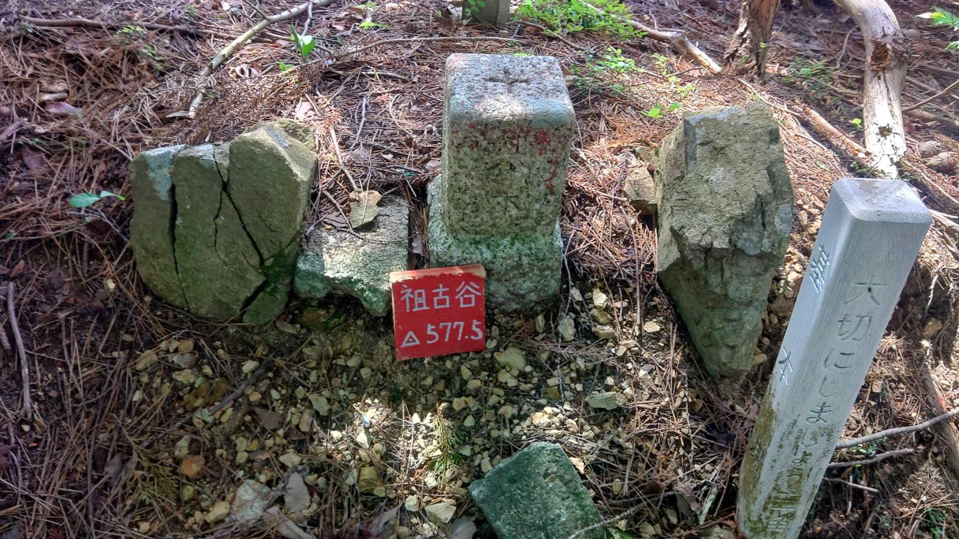 二之瀬越-志津山 往復コースの写真