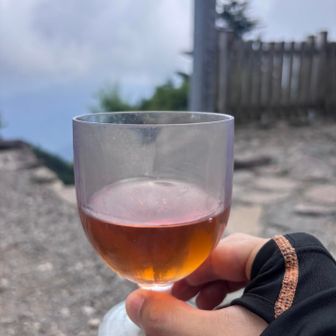 トイレと避難小屋の前にベンチがあったので、ちょっと一服
美味しい手作り梅酒🥃を持ってきてたんだった。ちょっと行動酒でも入れましょうかねー😚