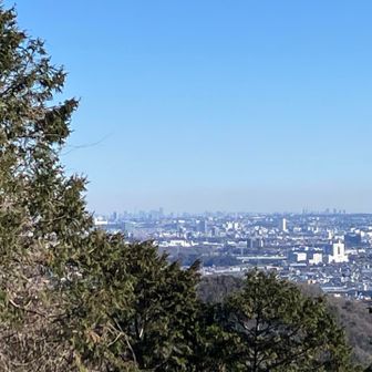 東京スカイツリーも見えるらしい(笑)