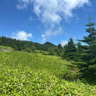 少し熱中症ぽい。山頂見えてきたよ〜^_^