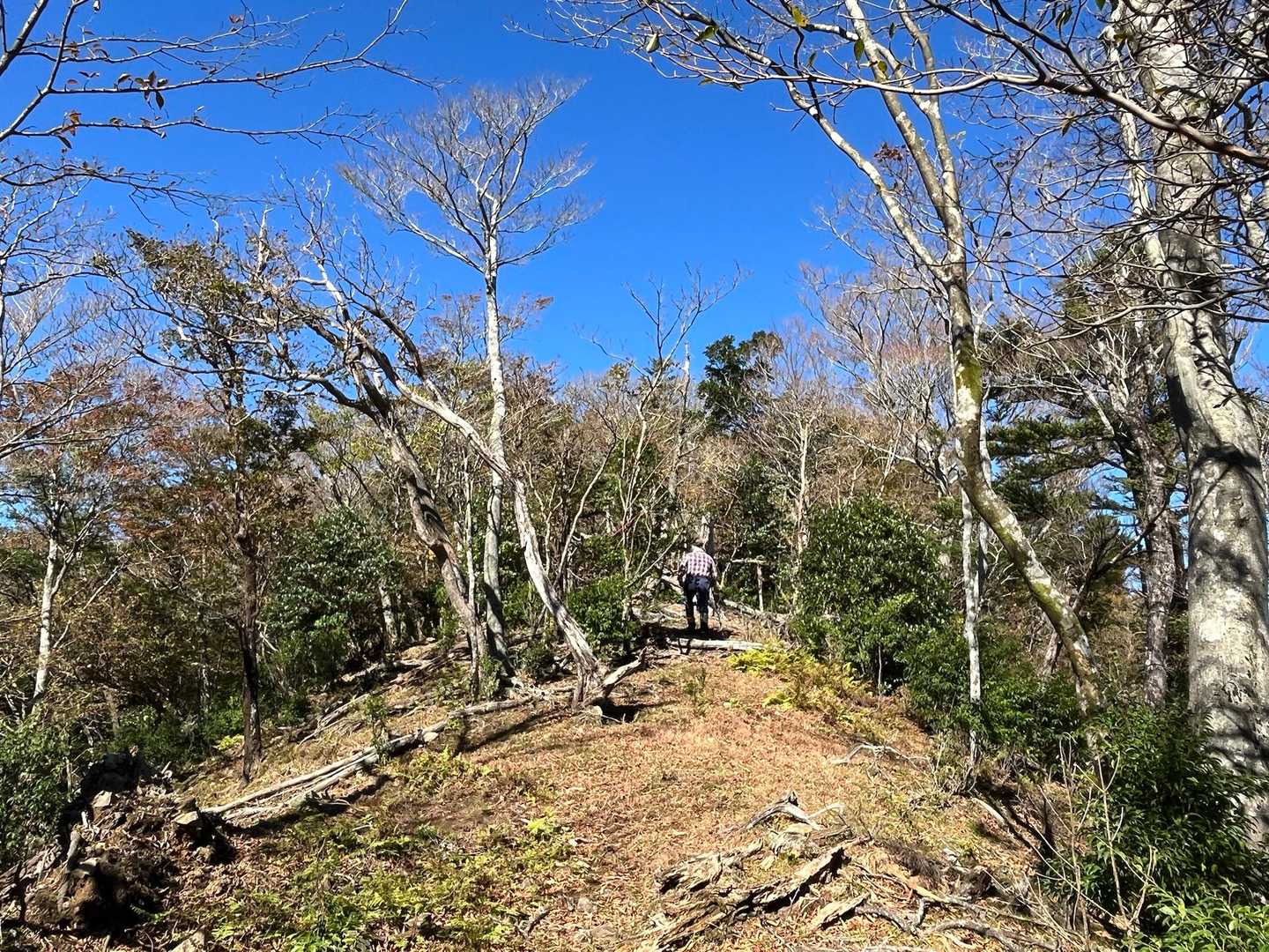 小枝をかき分けゾーンを終えて、歩きやすい尾根に。
かき分けゾーンでは福岡のペアと会う。
結構長い間、山談義🎵