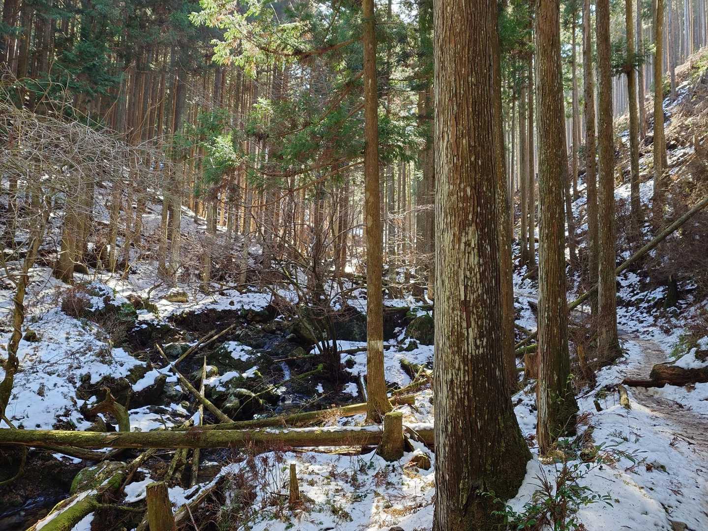 雪がチラホラ❄️
今日は暖かいけどね
