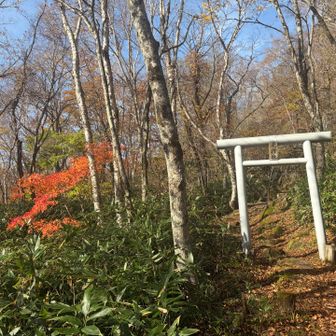 下山時にスッキリ晴れました☀️