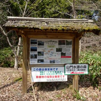 漸く駐車場まで下りて来ました
此処から駅までが遠い😅