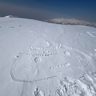 ハチワレらしいｵｫ(*˙꒫˙* )