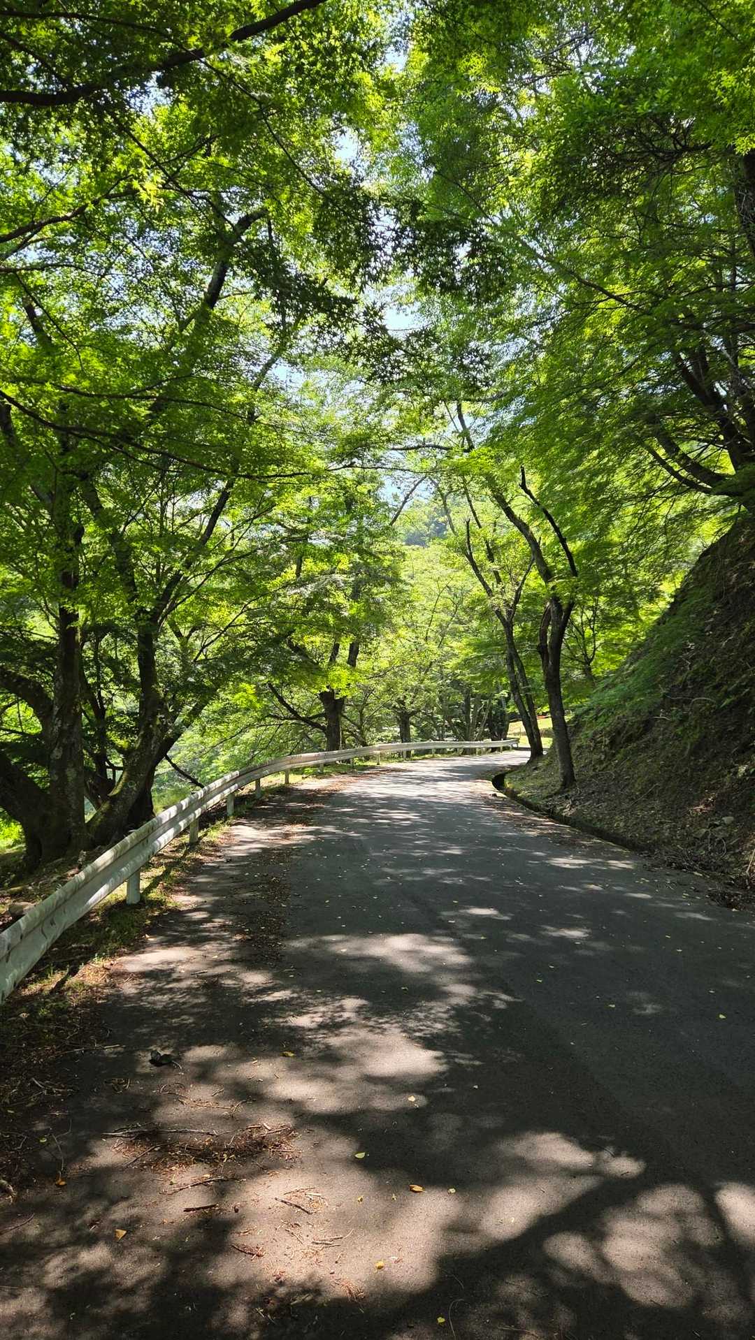 まずはロード歩きです🚶🏻