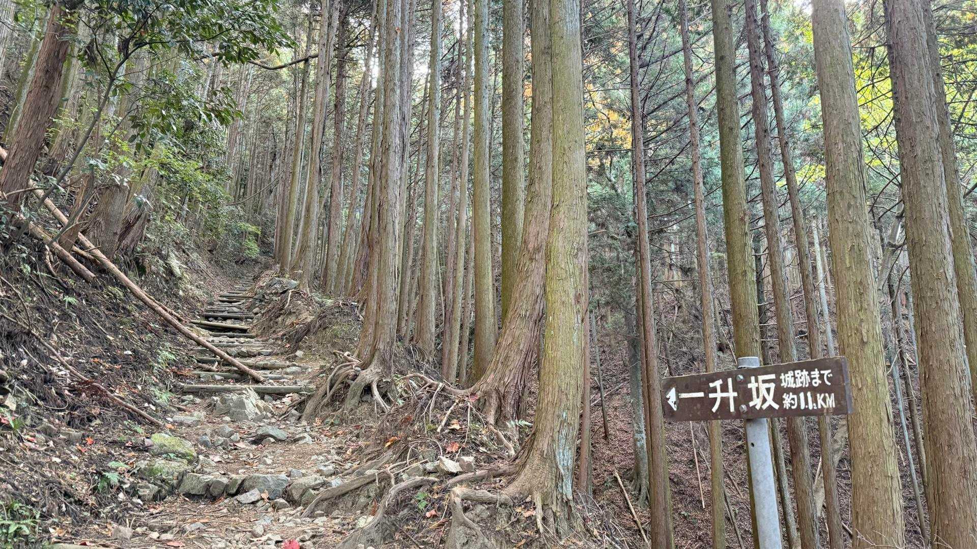 一升坂。山頂まで1.1km