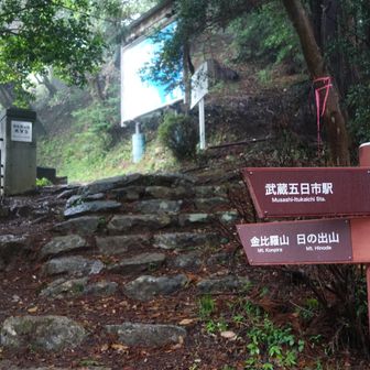 石段を登って神社方面へ