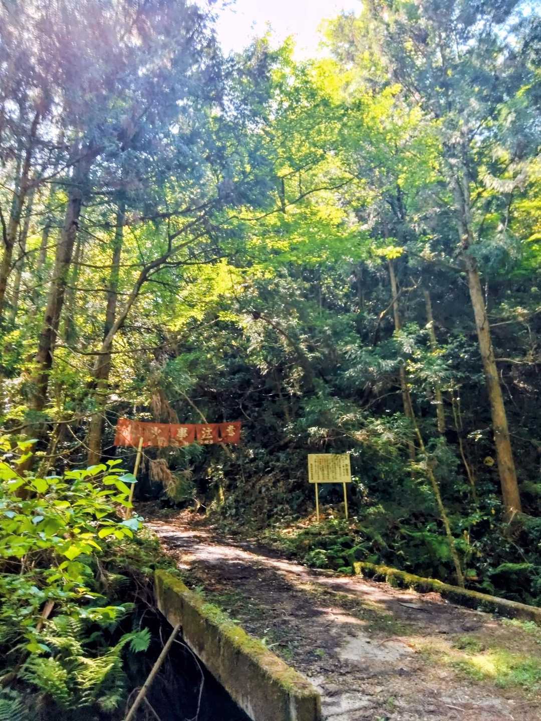 清々しい道を気持ち良く歩く🚶😘
