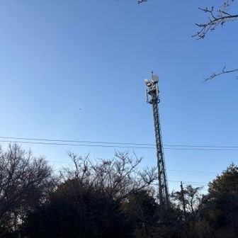 いちおうピークを踏みに行く