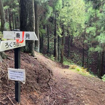あとはこんな道をひたすら下りる
ここだけは間違えないように⚠️
登山口に戻れなくなる、、