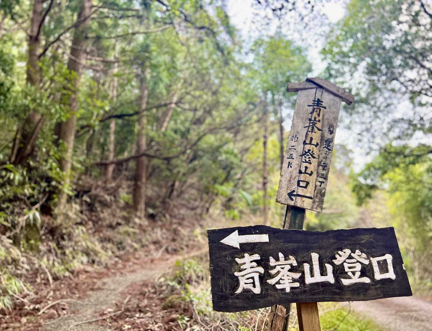 暫く…コンクリートロードを歩いて🚶
青峯山登山口🪧から入山します🙋‍♂️
本日はよろしくお願いします🙇‍♂️