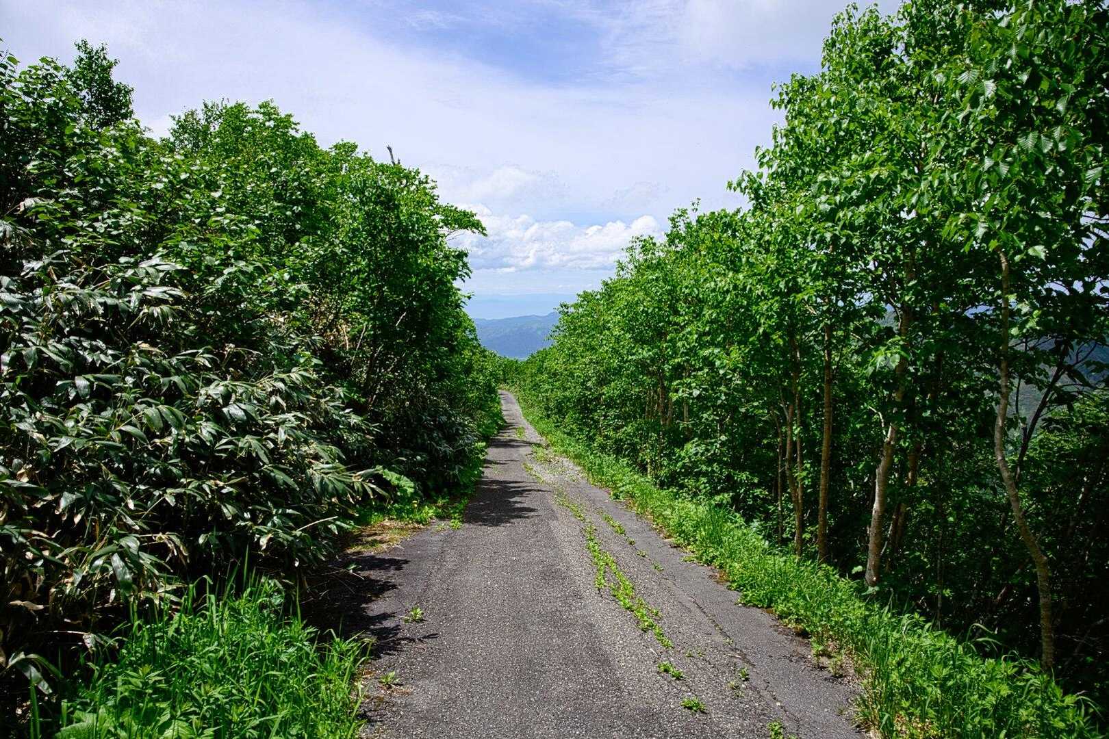 帰りはレーダー管理道路を利用🛣️
歩きやすくて下山はかなり楽でした👌