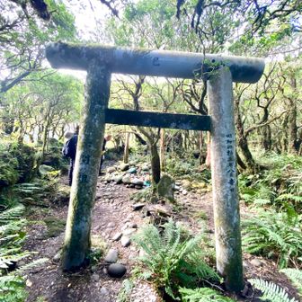 ⛩️浅間神社