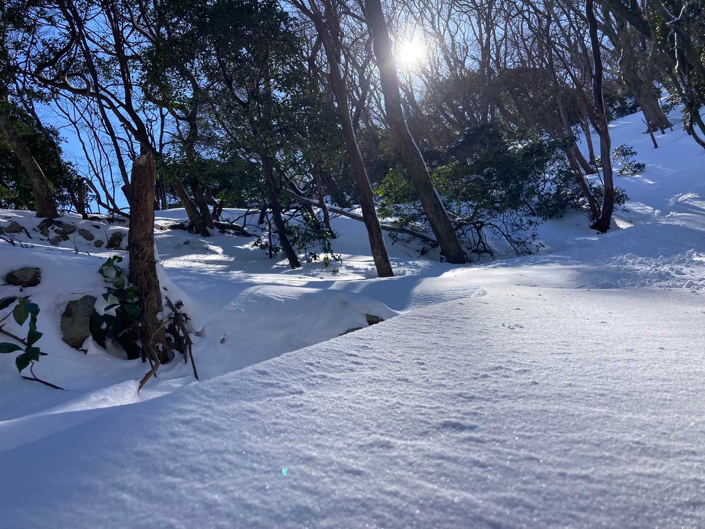 だいぶ進んだけれどまだまだ続く登り