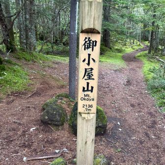 一回通り過ぎました！😂