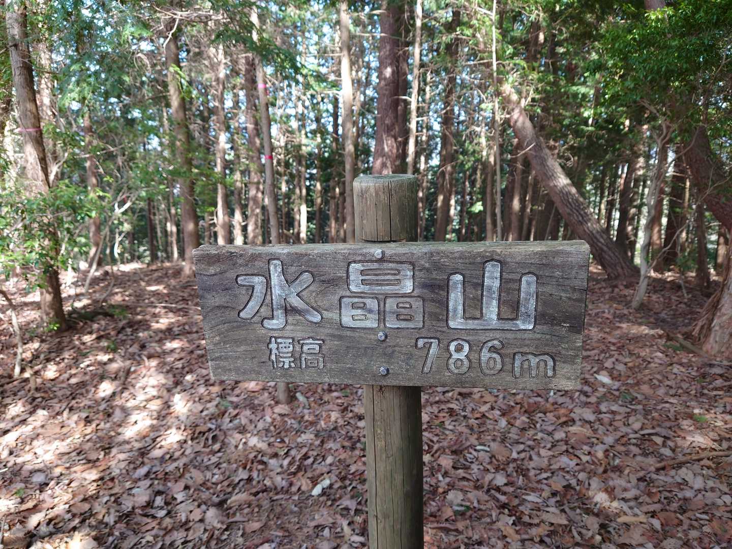 なんか怪しくて奥に行ってみたら、ちゃんと標識ありました❗奥に行って良かった🤣