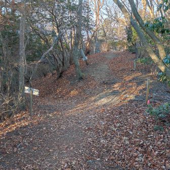 分岐まで戻って左へ下ります　次は堂平山です