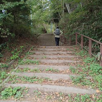 今日は、人が少ない気がする‥🚶‍♀️