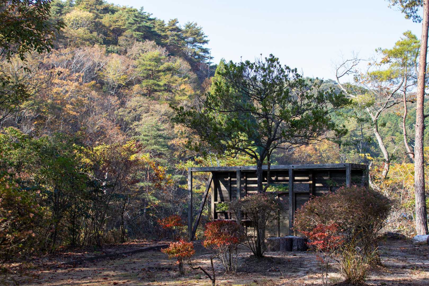 あ、野鳥観察の小屋、後で寄ってみよう。