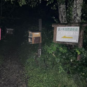 霧雨の中、出発します