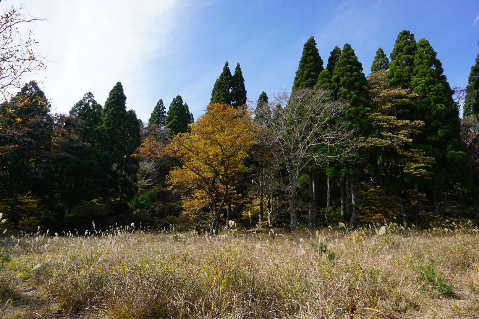 八雲ヶ原