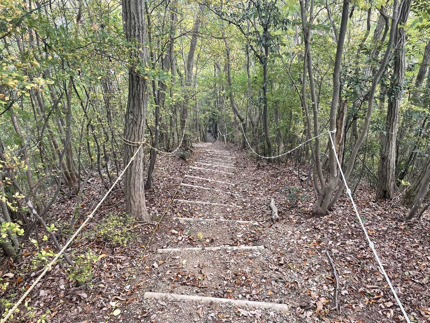 昔は階段じゃなかった記憶が...
