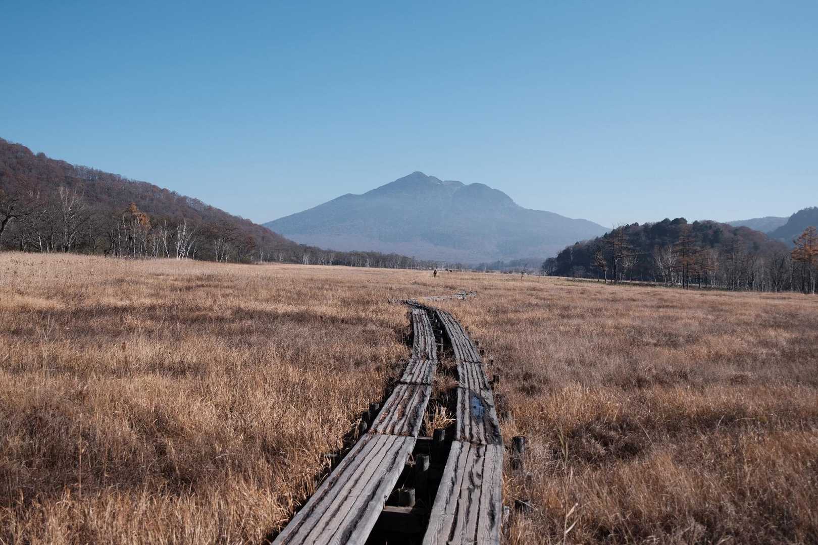 尾瀬沼-長英新道分岐-沼尻休憩所-鳩待峠 縦走コースの写真