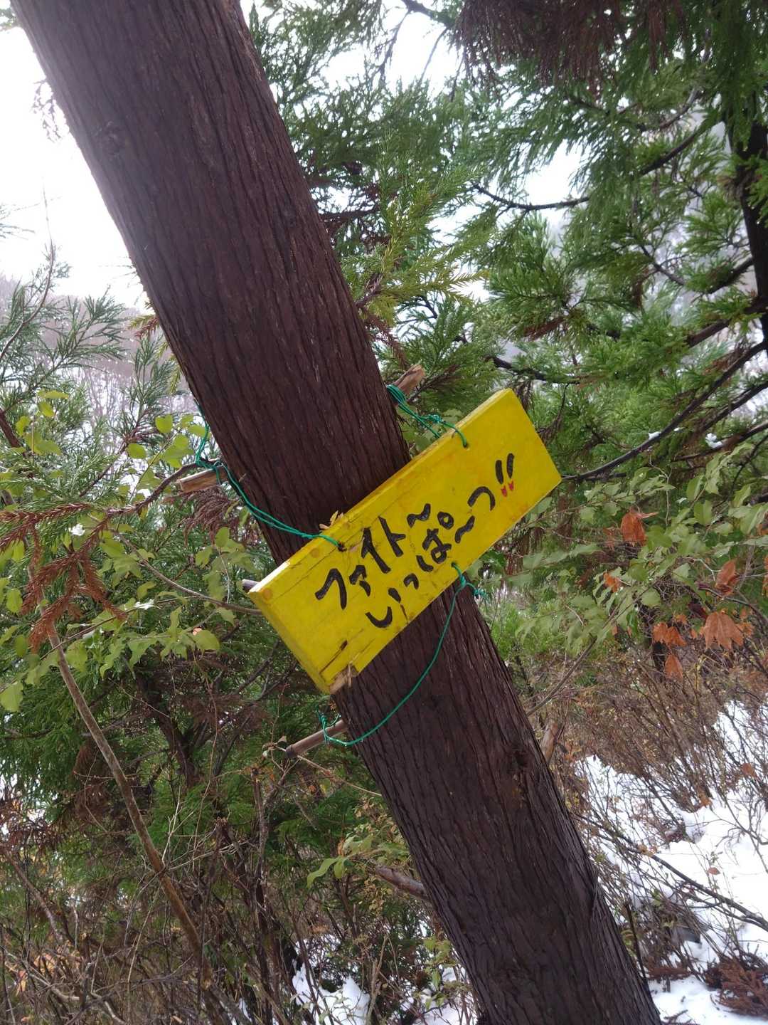 下山ははえー　すぐここ