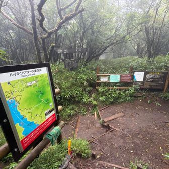防ヶ沢分岐。
左の神山 山頂方面に向かいます。