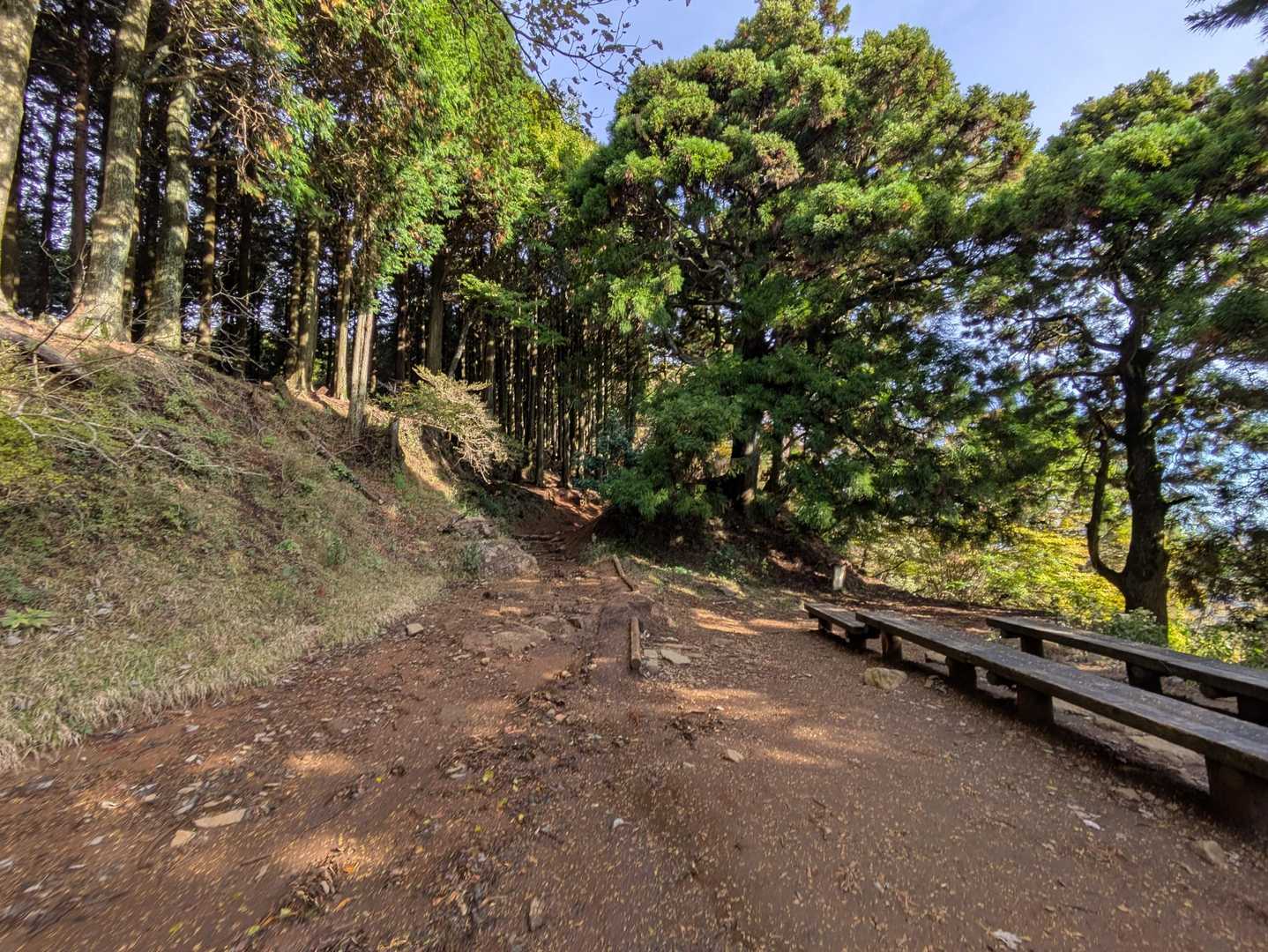 16丁目
ここで誰も休憩してないの初めてかも

登山道もすでに乾いてきていて泥濘もほとんどなく歩きやすい🎶

どんどん行きます🚶‍♂️