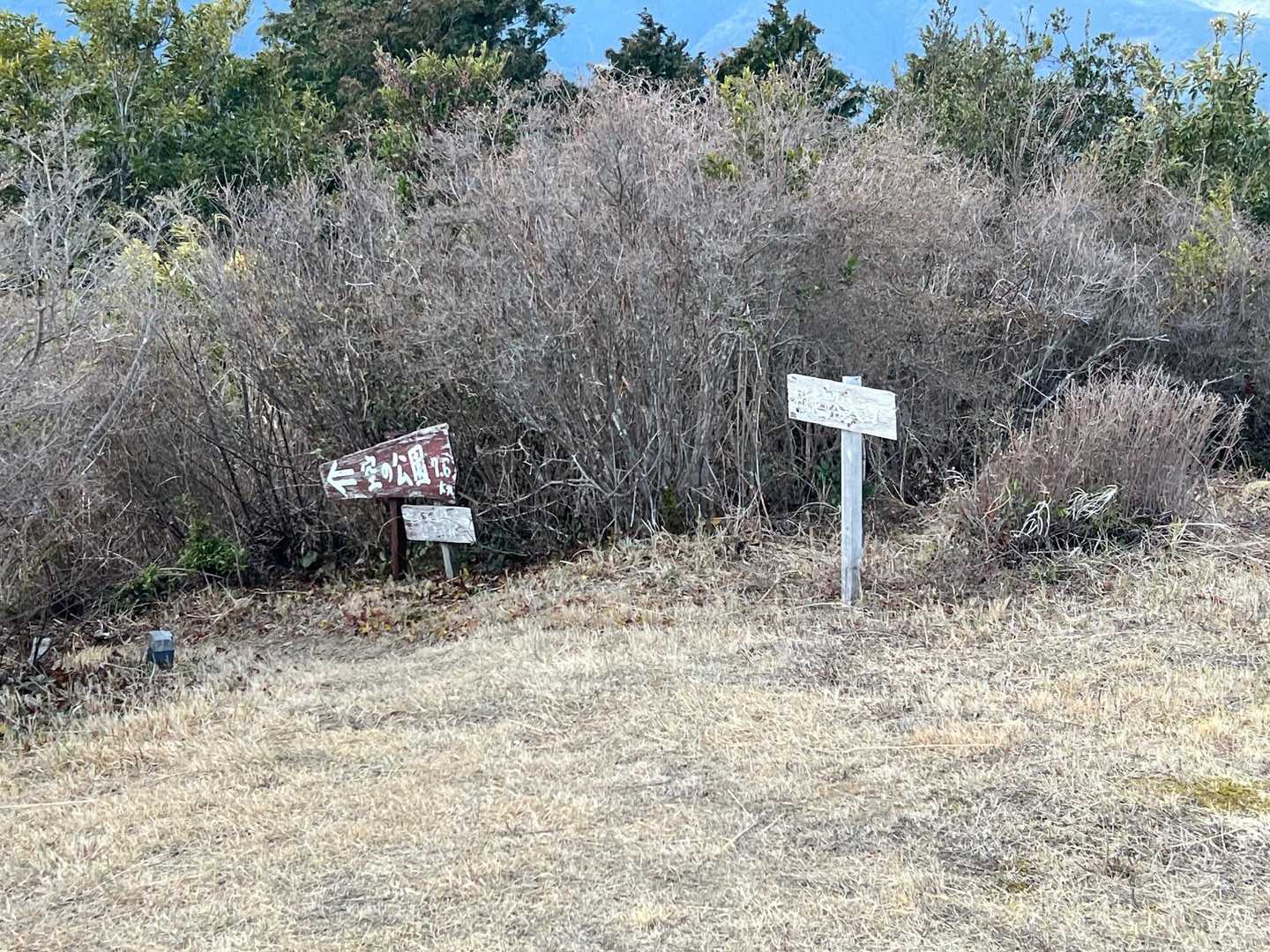 このあいだに色利登山口から登ってきた人が縦走路に進んで行きました。
