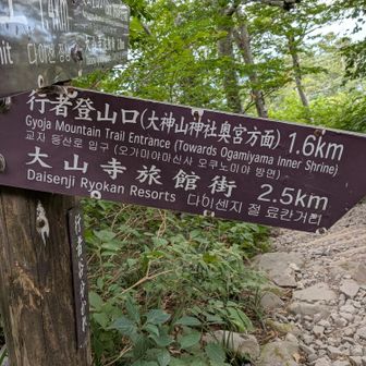 帰りは、行者コースで下山。