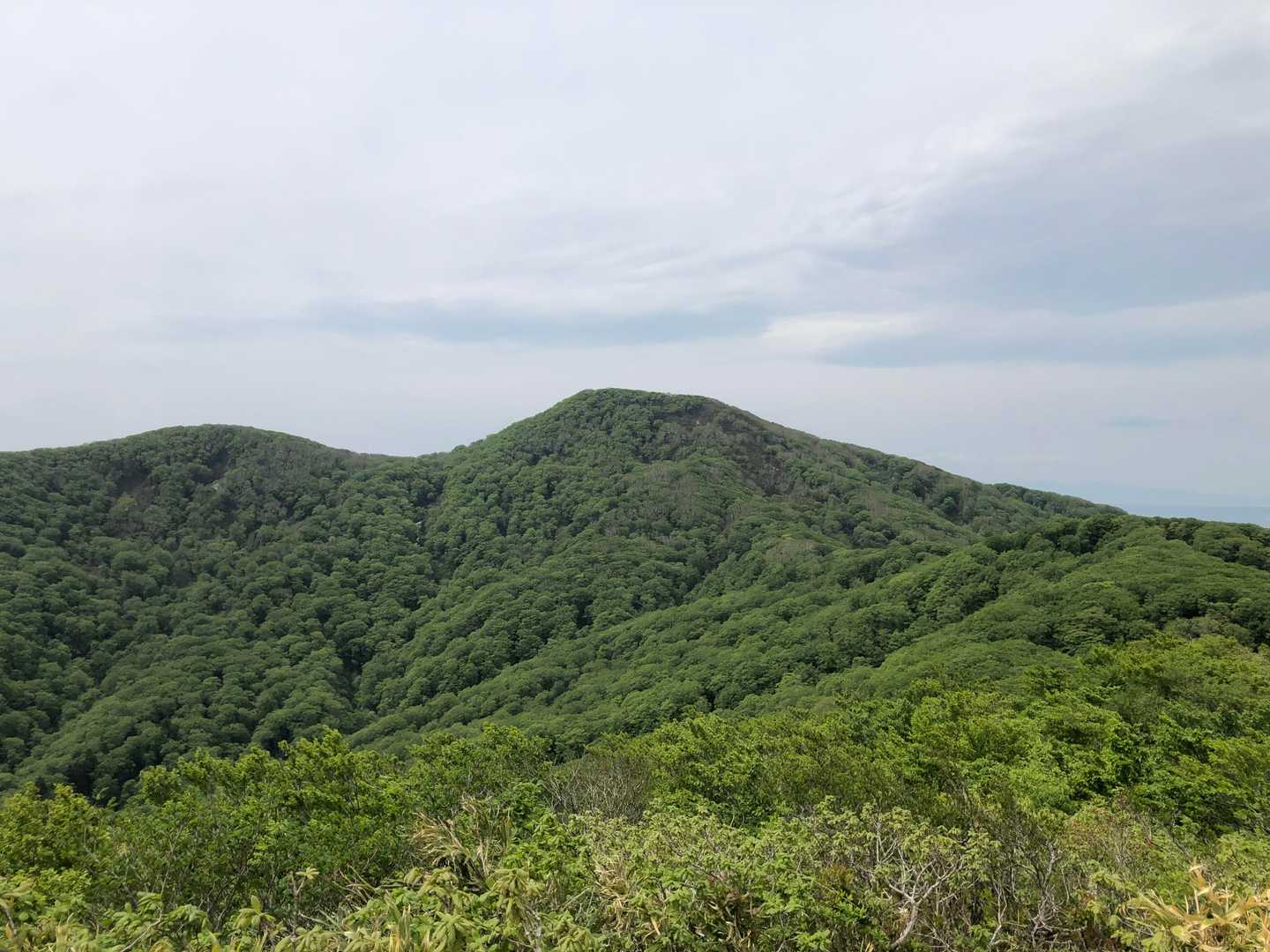 赤倉岳からの大倉岳と前大倉岳