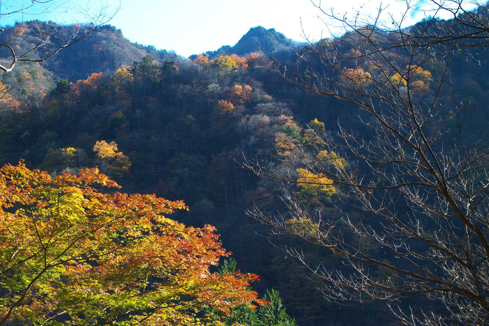 遠くの山も綺麗です