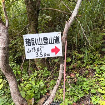 中ルートへの行き方がよくわからず
少し迷いましたがこれ見て安心
しばらく林道を進みます