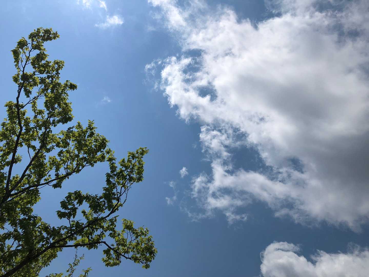 王子公園駅-摩耶山 縦走コースの写真