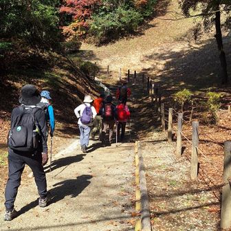 山中城址公園によりました。戦国時代に北条氏が、築上した山城だそうです。今は城あとがあるだけですが、かなり広く、富士山がきれいに見えるところがありました。