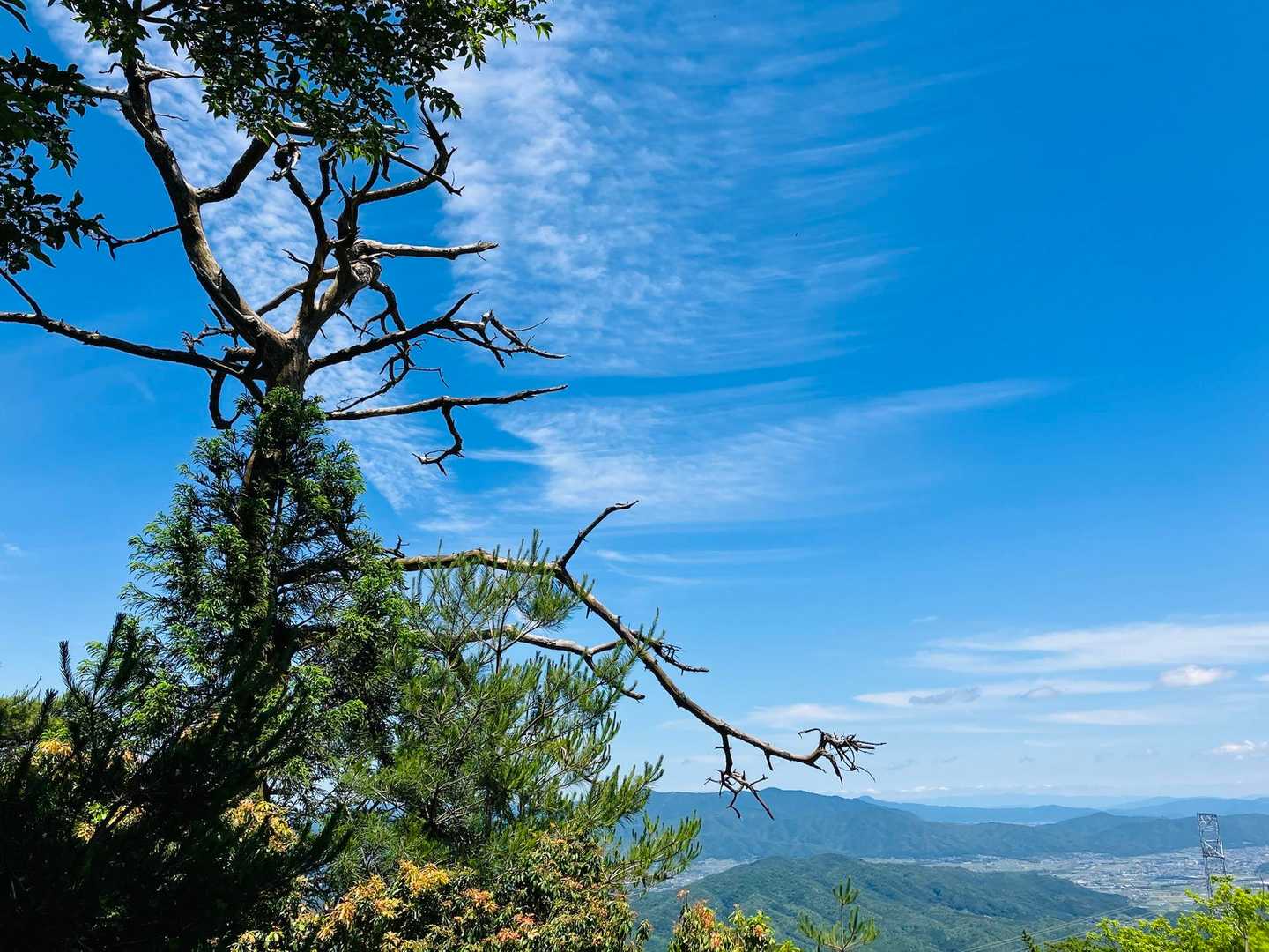 赤熊コース登山口-牛つなぎ広場-半国山-金輪寺 縦走コースの写真