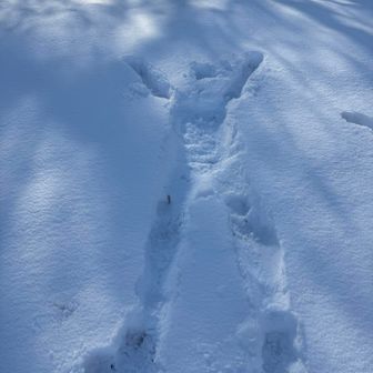 いい感じに🙌
ゲラゲラと笑いがとまらない🤣🤣🤣