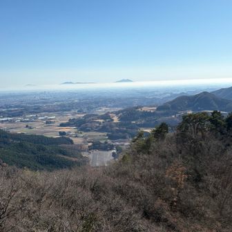 でも筑波山がちらっと頭を覗かせてくれました🤗