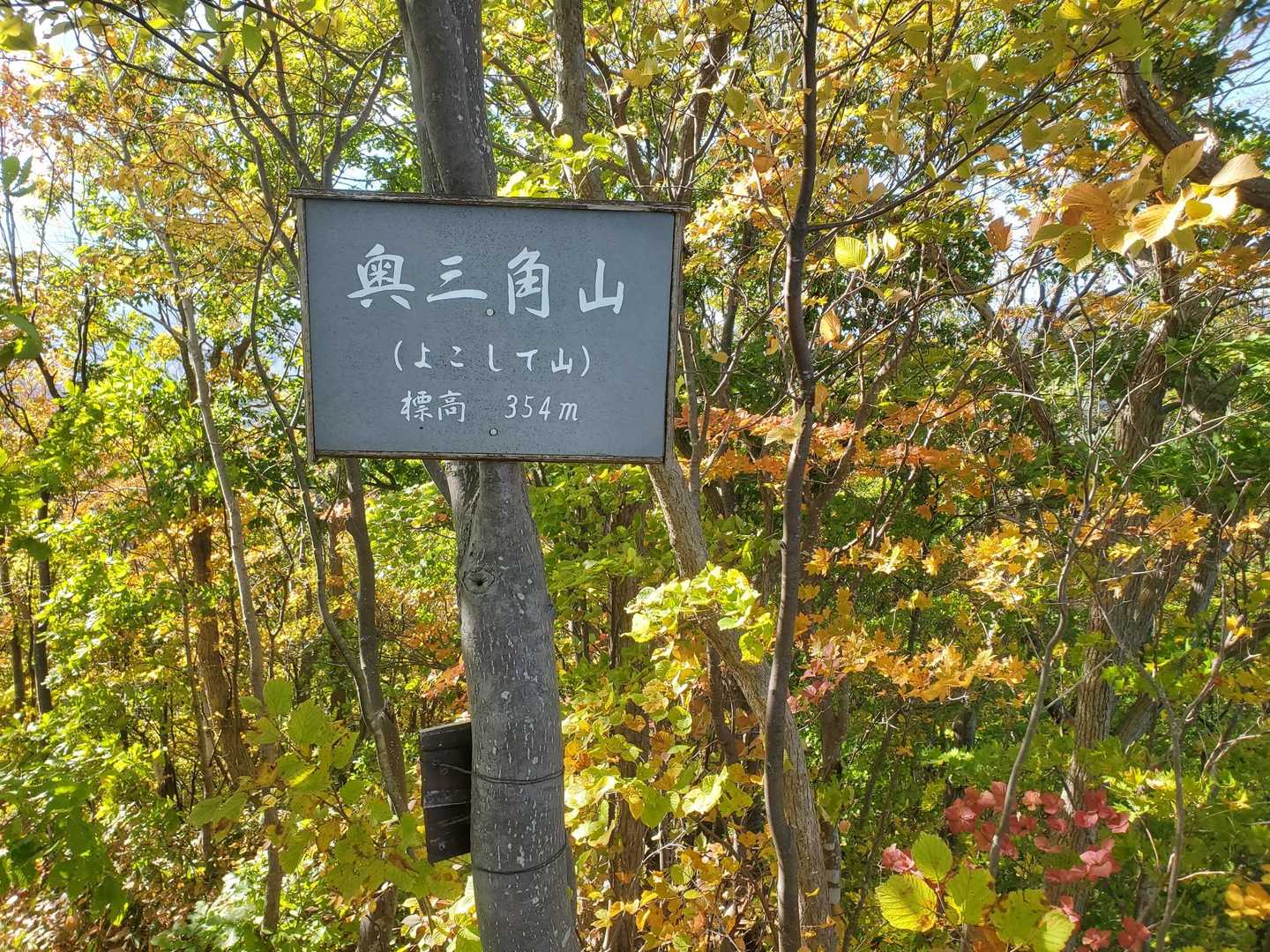 三角山-大倉山-奥三角山 縦走コースの写真