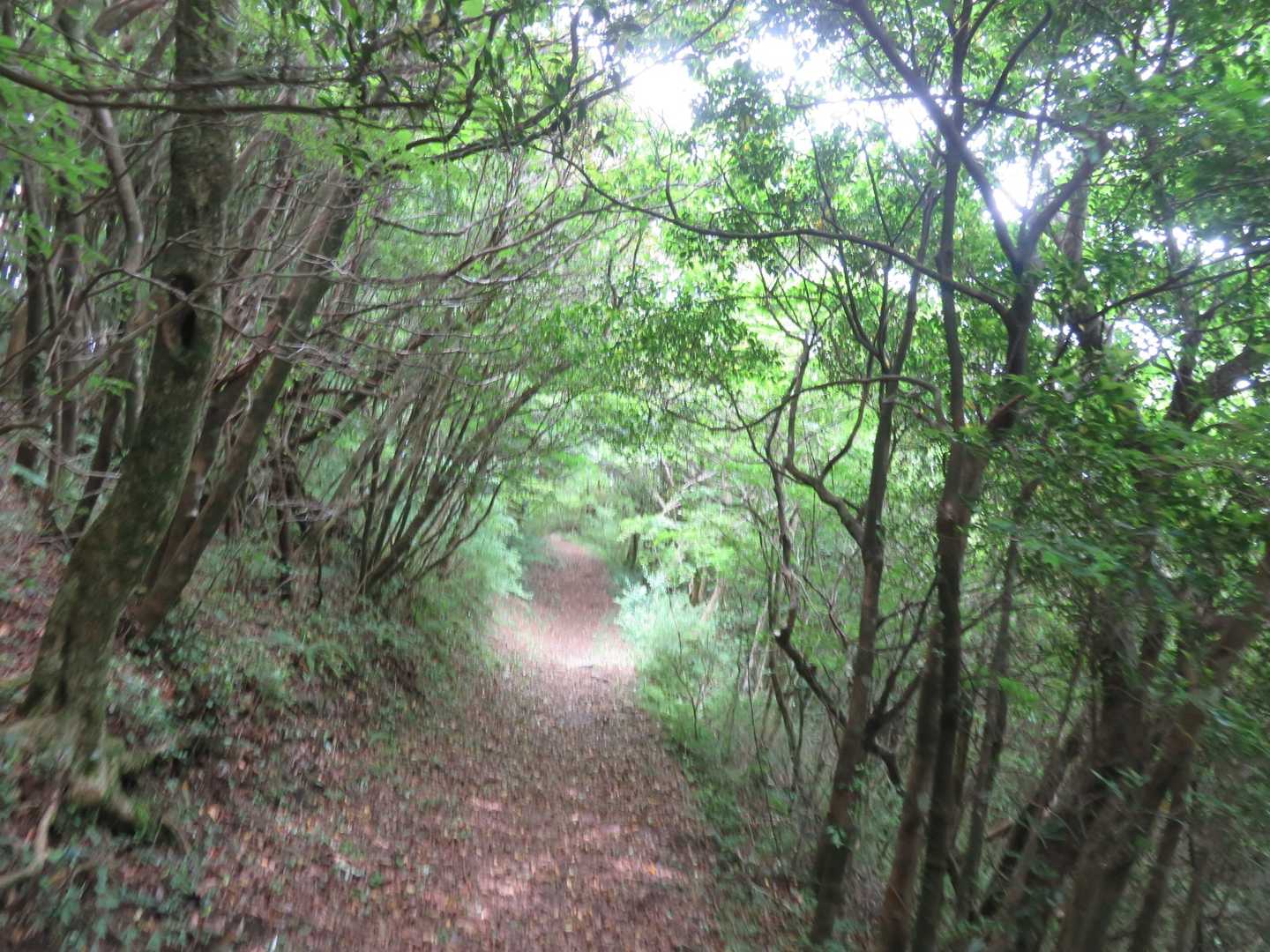 吹越トンネル🅿️へ戻ります。
心地好い⤵️路です。😉☝️