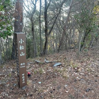 小松山⛰️