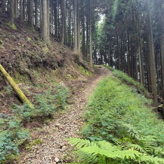 波破線ルートから行ってみる