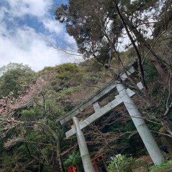 正面登山口より入山