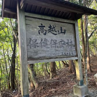 この辺りではまだ余裕。